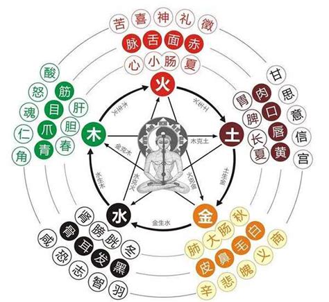 林屬五行|【林的五行】林有什麼特殊之處？五行學角度解析林的奧秘